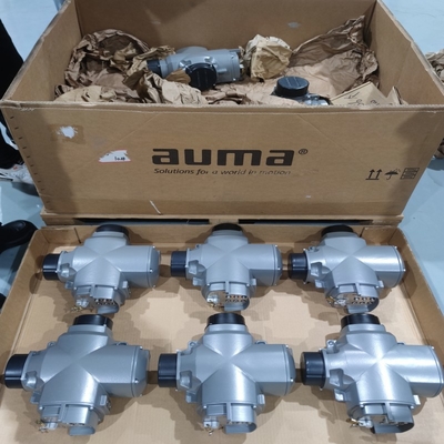Скид клапана управления потоком оснащен клапанным приводом Auma SQEx и взрывостойким электрическим приводом SQRV