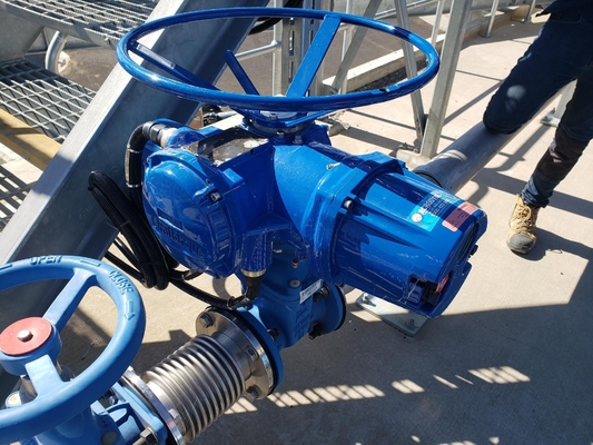 Flowserve Limitorque Electric Valve Actuator MX QX Series Customized China Multi-turn Quarter-turn Industrial Valve Flow Control (Электрический клапан-актуатор серии MX QX)