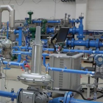 Промышленный регулятор давления природного газа Emerson Fisher LS200 с прямым управлением