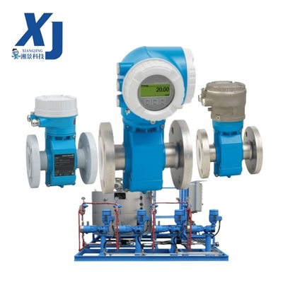 Smart Magnetic Flowmeter E+H Proline Promag P 300 Endress Hauser HART 4-20mA Industrial Electromagnetic Flow Meter