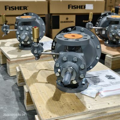 EMERSON Fisher Types 1098-EGR and 1098H-EGR  Pilot-Operated Gas Pressure Reducing Valve with Stock for High Performance Boiler
