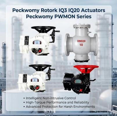 Peckwomy PWMON серия взрывостойкие OEM шаровые электрические приводы дисплейные газовые СМИ заменяемые роторки IQ3 IQ20 приводы