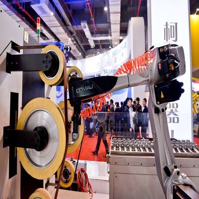 6 робот AGV средней полезной нагрузки руки NJ-16-3.1 промышленного робота оси промышленный