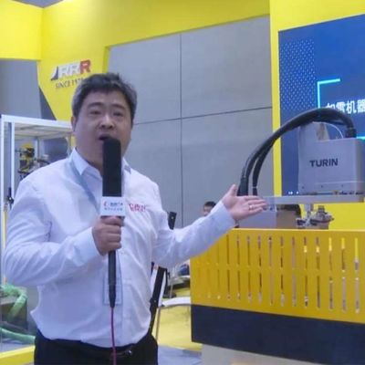 Клавиатура оси STW030-3KG-500/600mm руки 6 промышленного робота устанавливая робот Scara
