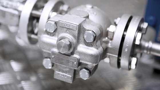 Поплавок Spirax Sarco и термостатический пар поглощают FT14 65-200 psig