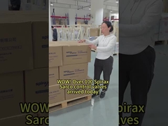 Что вы думаете о Spirax Sarco среди брендов клапанов?