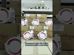 Flowserve LOGIX 420 Цифровые позиционирующие клапаны